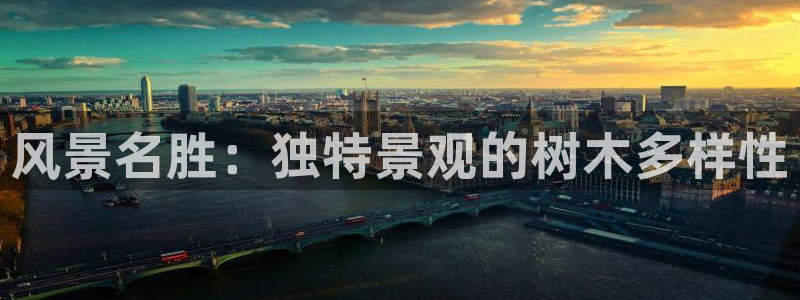 新宝一GG