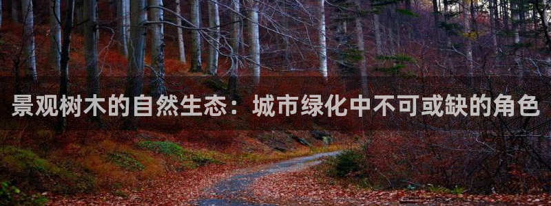 新宝gg反水