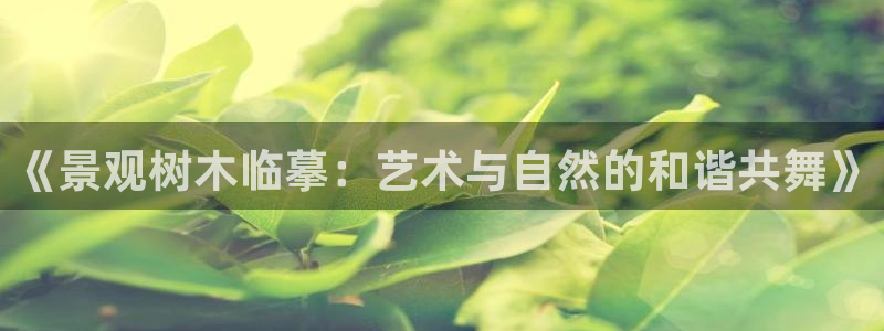 新宝gg招商42873