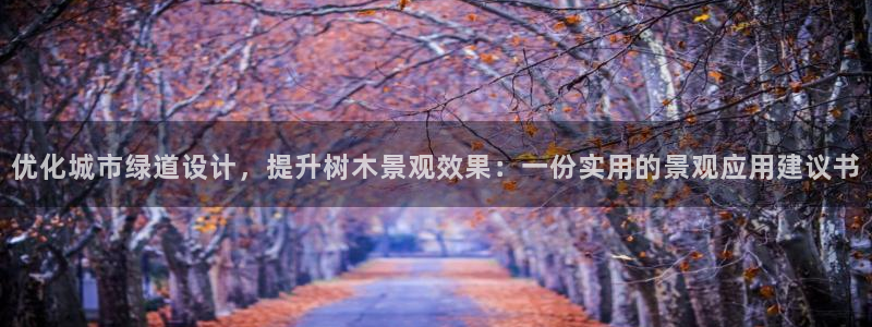 新宝gg助手