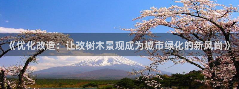新宝GG娱乐-上皇巢网：《优化改造：让改树木景观成为城市绿化的新风尚》