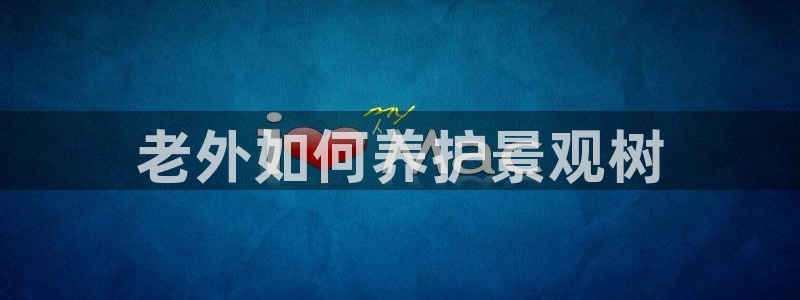 新宝gg娱乐客户端下载