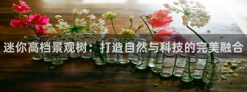 广东新宝电器gg