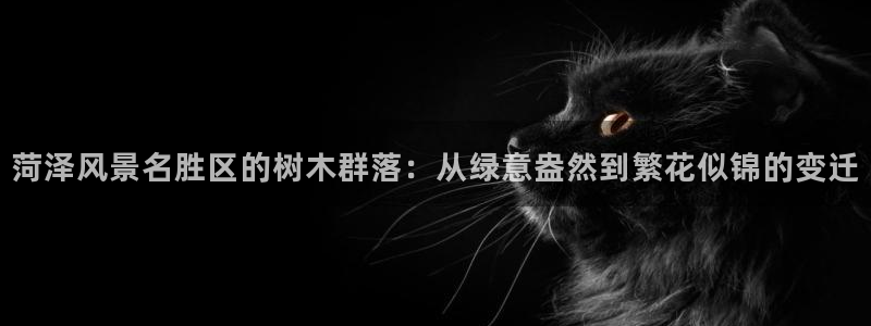 新宝gg手机版下载：菏泽风景名胜区的树木群落：从绿意盎然到繁花似锦的变迁