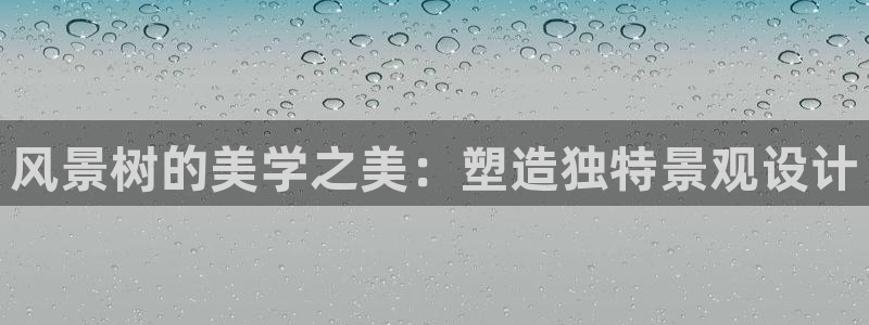 新宝奇迹GG5