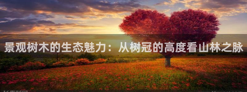 新宝gg玩：景观树木的生态魅力：从树冠的高度看山林之脉