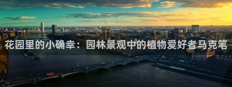 新宝gg客服电话