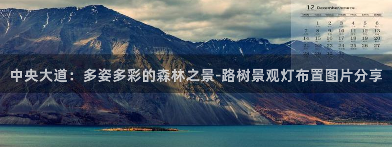 新宝gg如何代理