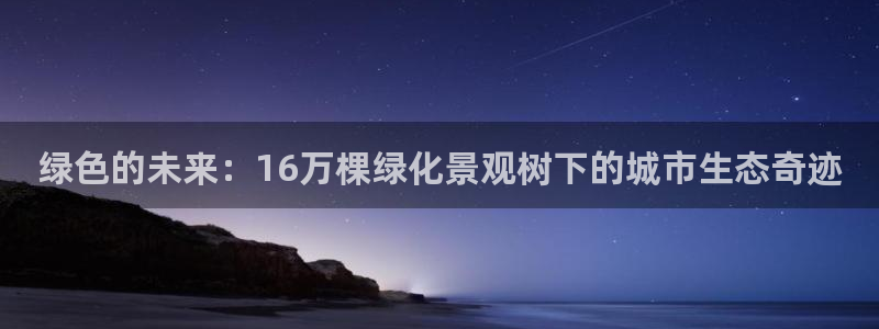 新宝gg招商