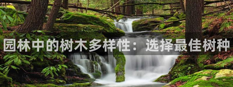 新宝gg用哪个浏览器：园林中的树木多样性：选择最佳树种