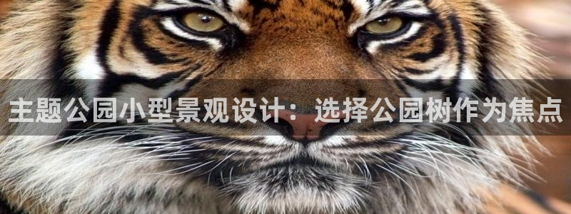 网站是新宝gg