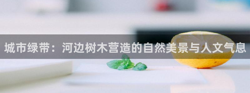新宝gg开户流程