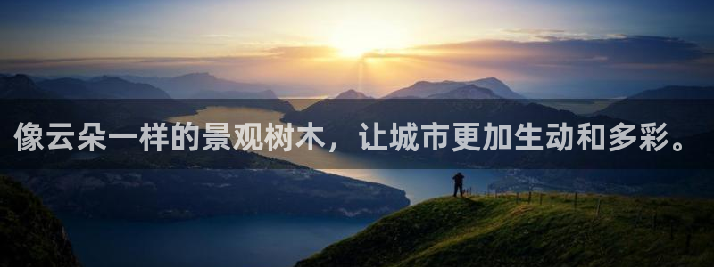 新宝gg是在境外吗