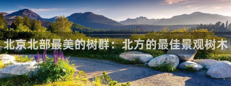 新宝gg开好