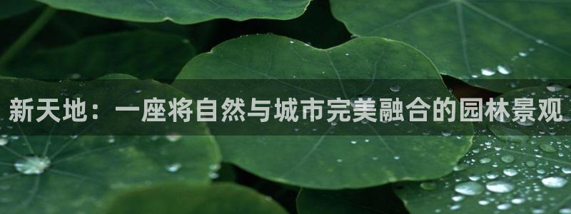 新宝gg总管