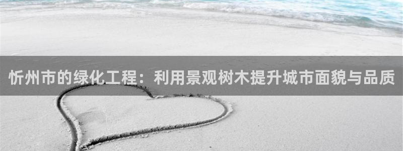 新宝gg分红