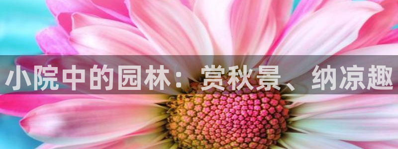 新宝GG勒55312：小院中的园林：赏秋景、纳凉趣