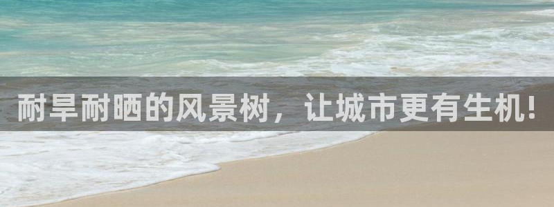 新宝gg登录网址：耐旱耐晒的风景树，让城市更有生机!