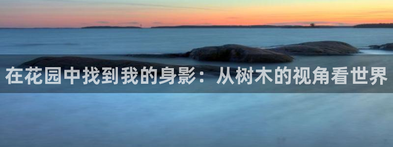 vip新宝gg：在花园中找到我的身影：从树木的视角看世界