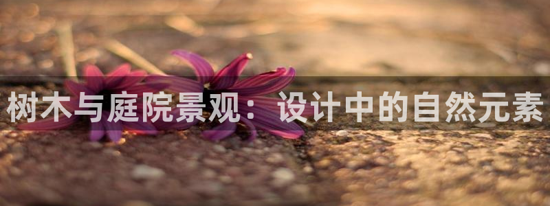 新宝gg系列：树木与庭院景观：设计中的自然元素